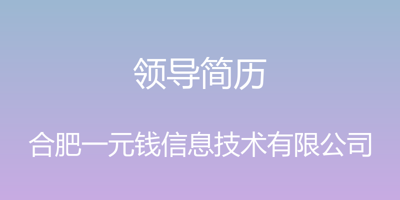 领导简历 - 合肥一元钱信息技术有限公司